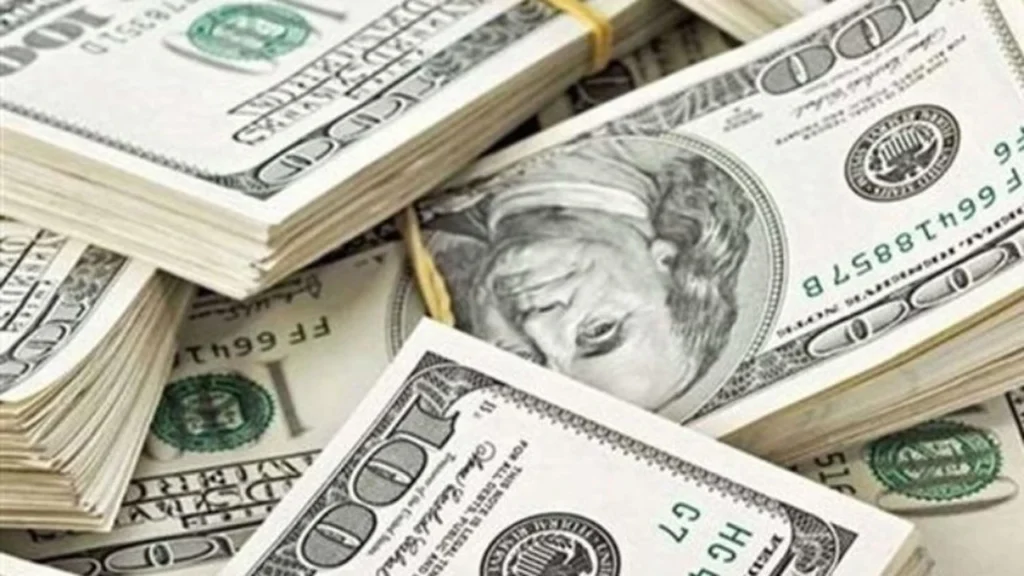 تغيرات ملحوظة في أسعار صرف الدولار داخل البنوك المصرية مقابل العملة المحلية